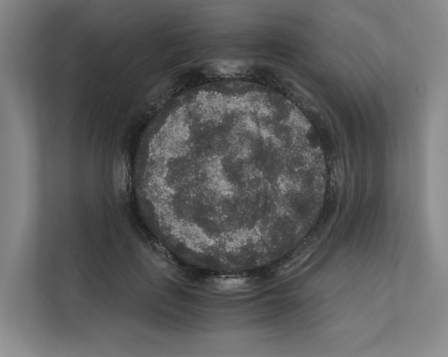 X0000111810651200909031431