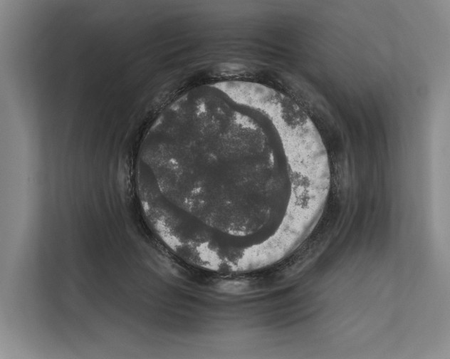 X0000111810653200909031431