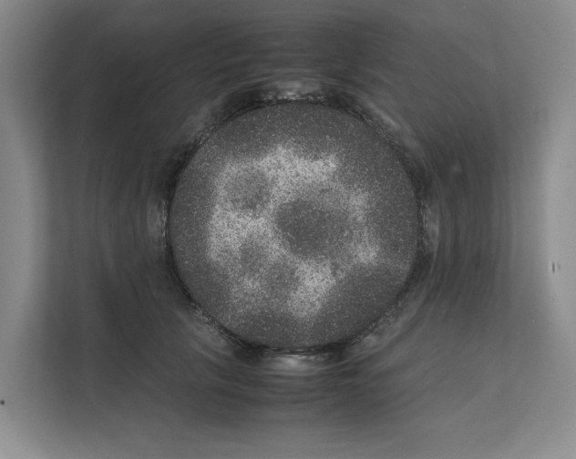 X0000111810657200909031431