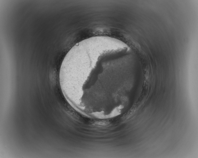 X0000111810659200909031431