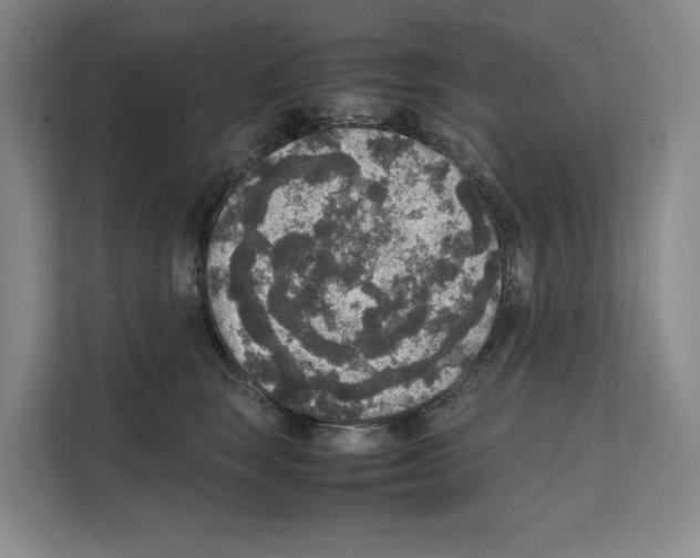 X0000111810663200909031431