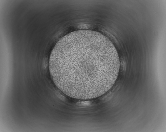 X0000111810665200909031431