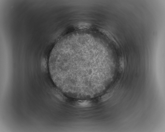 X0000111810667200909031431