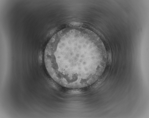 X0000111810668200909031431