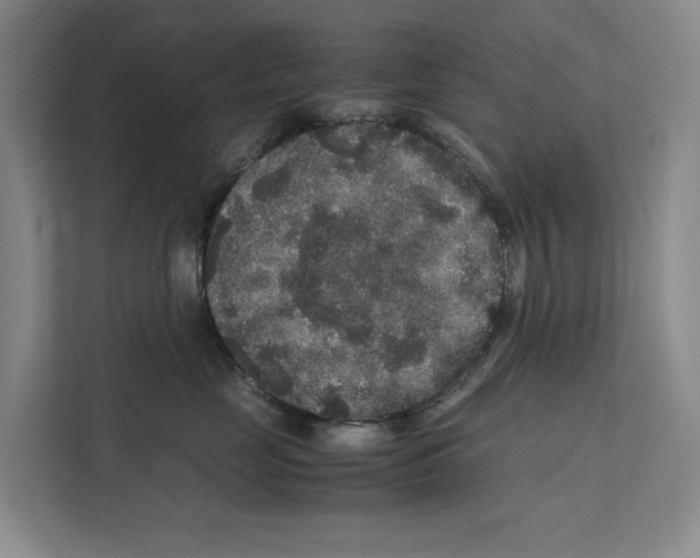 X0000111810669200909031431