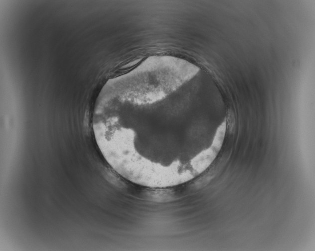 X0000111810670200909031431