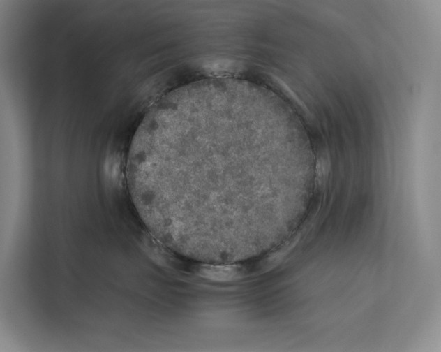 X0000111810671200909031431