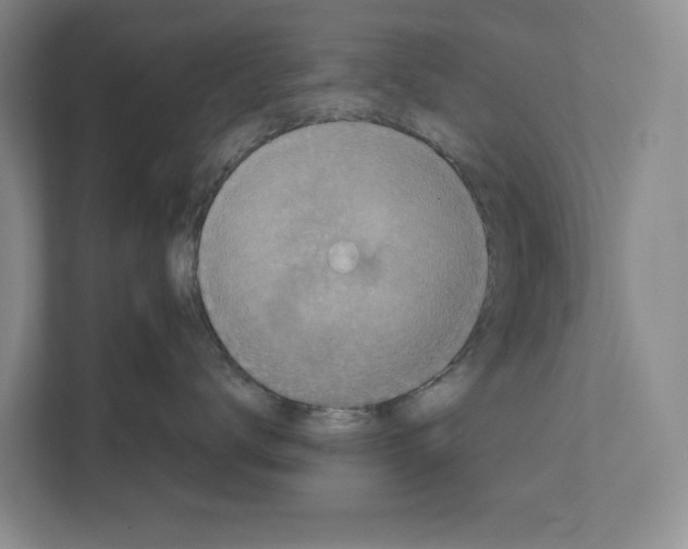 X0000111810672200909031431