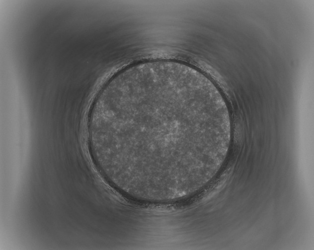 X0000111810673200909031431