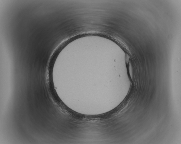 X0000111810676200909031431