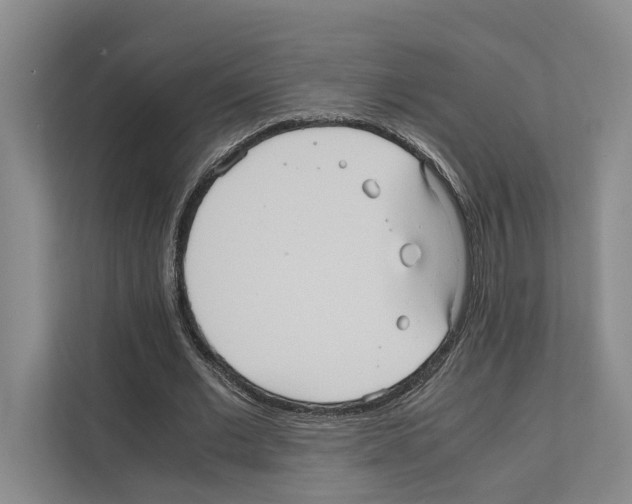 X0000111810677200909031431