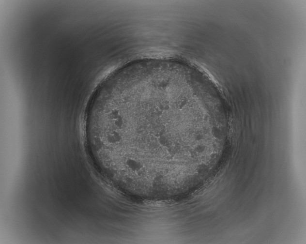 X0000111810679200909031431