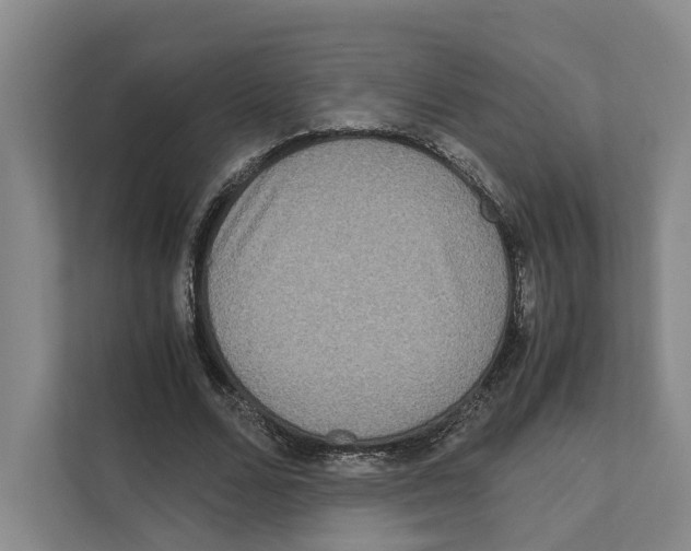 X0000111810680200909031431