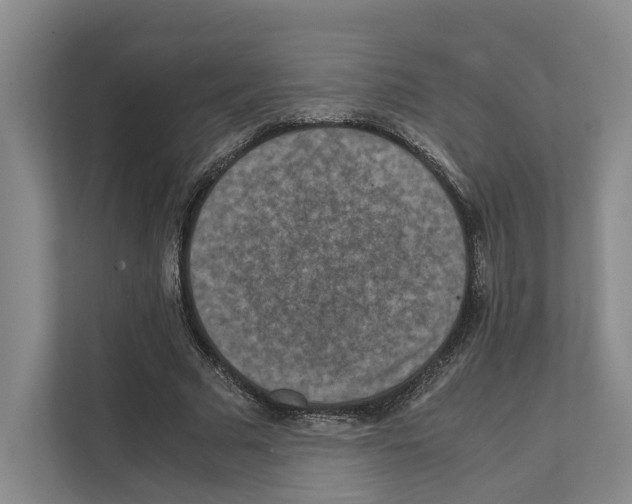 X0000111810681200909031431