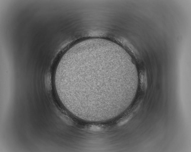 X0000111810684200909031431