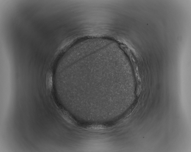 X0000111810685200909031431