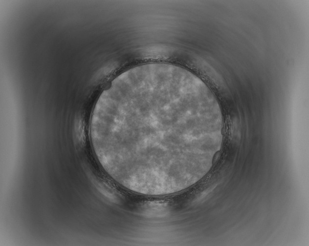 X0000111810692200909031430