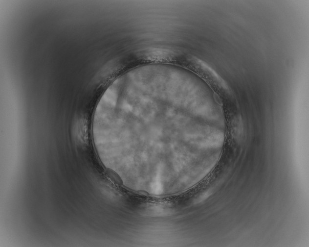 X0000111810696200909031430