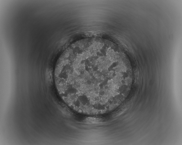 X0000111810699200909031430