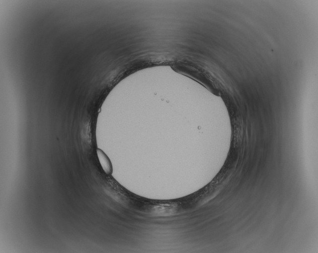 X0000111810700200909031430
