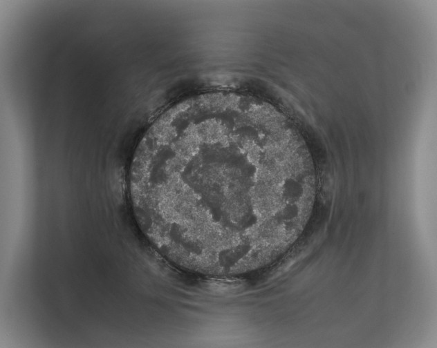 X0000111810707200909031430