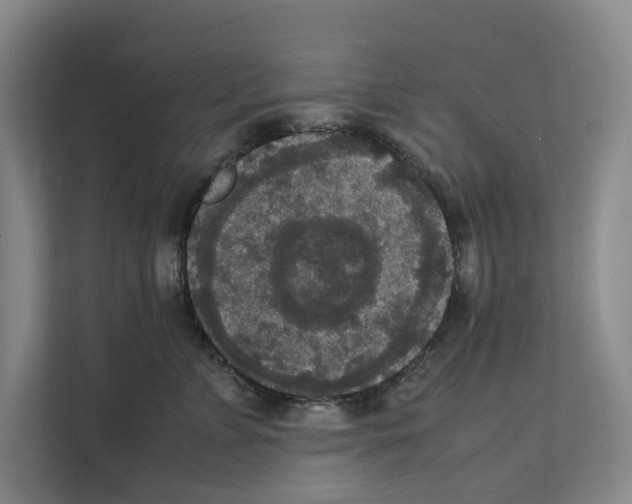 X0000111810715200909031430