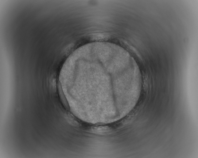 X0000111810716200909031430