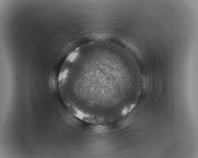 X0000111810718200909031430