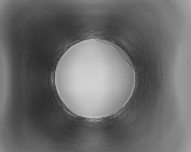 X0000111810720200909031430