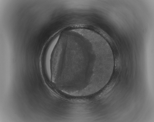 X0000111810722200909031429