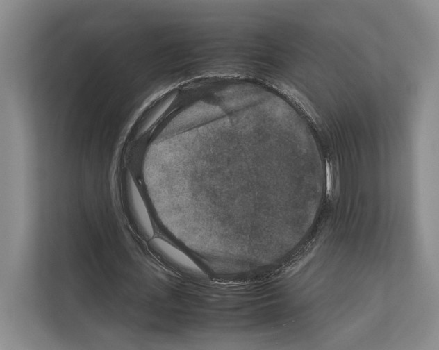 X0000111810723200909031429