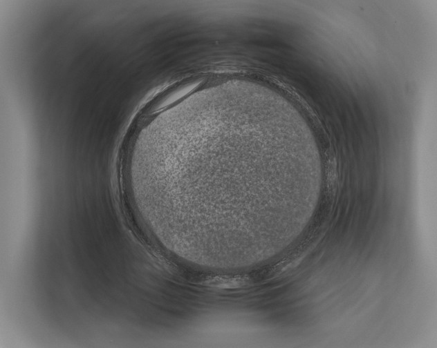 X0000111810727200909031430
