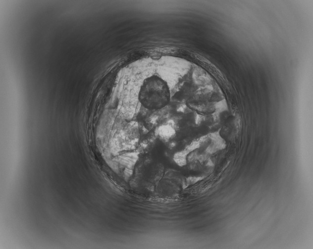 X0000111810729200909031430
