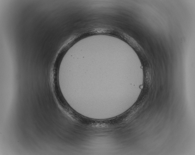 X0000111810730200909031430