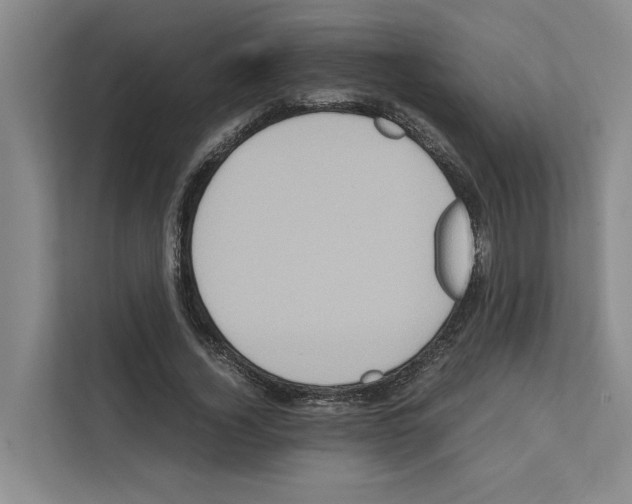 X0000111810732200909031430