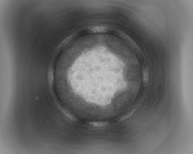 X0000111810733200909031430