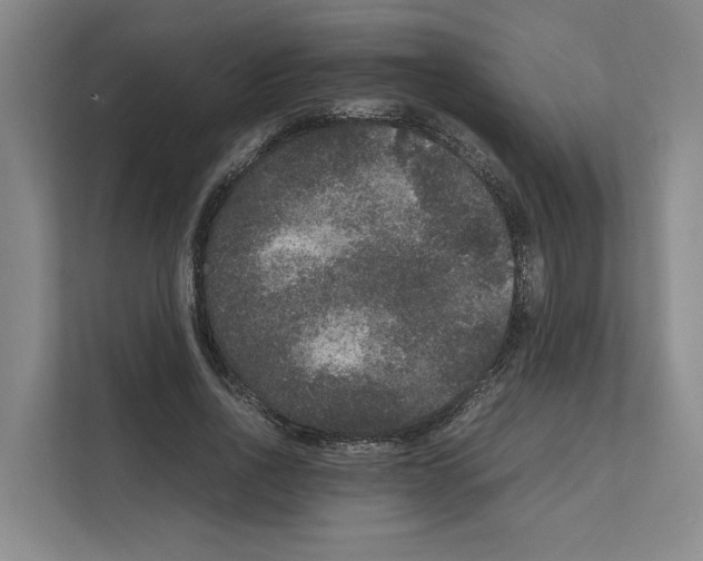 X0000111810734200909031430
