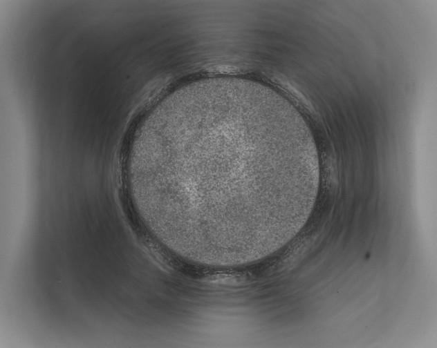 X0000111810738200909031430