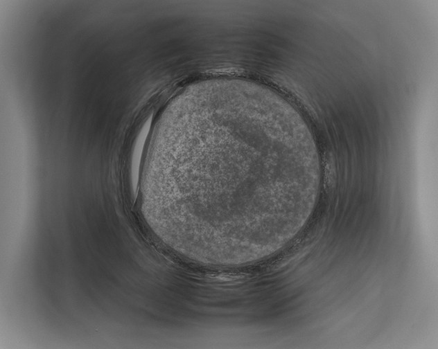 X0000111810739200909031430