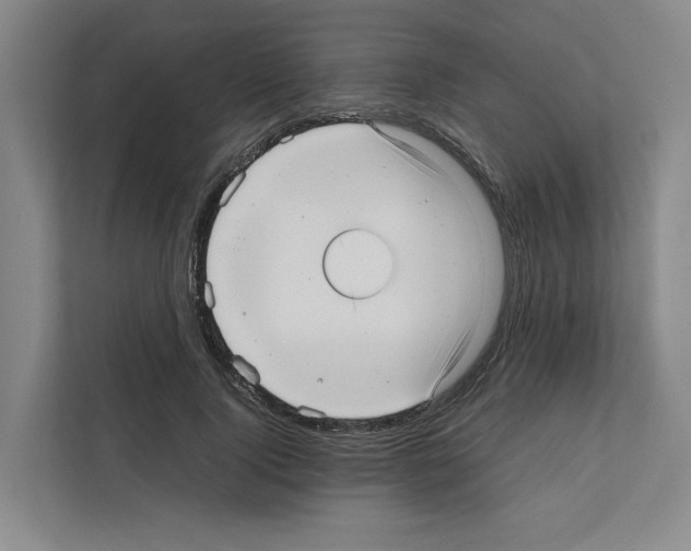 X0000111810740200909031430