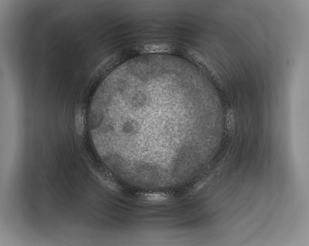 X0000111810741200909031430