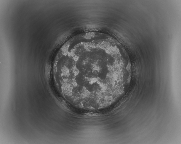 X0000111810742200909031430