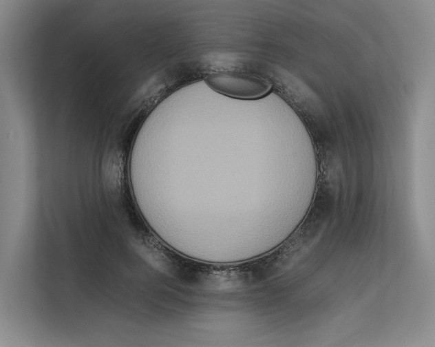 X0000111810744200909031430