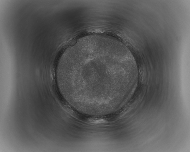 X0000111810747200909031430