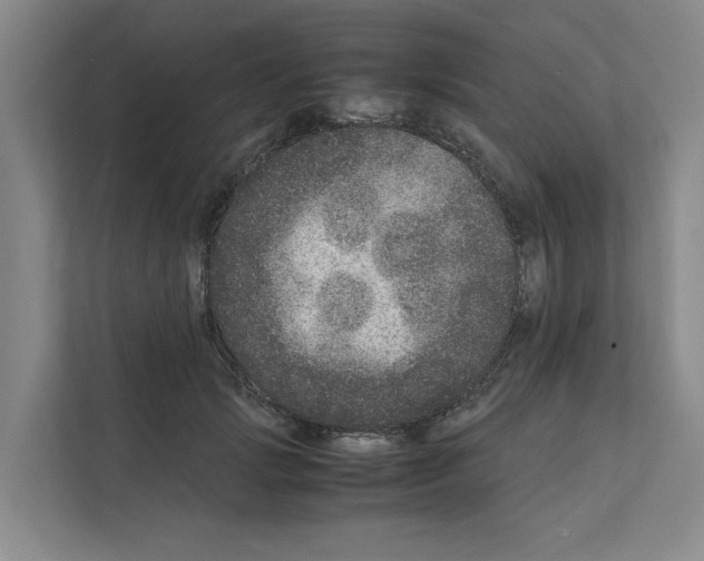 X0000111810749200909031430