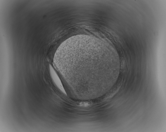 X0000111810751200909031430