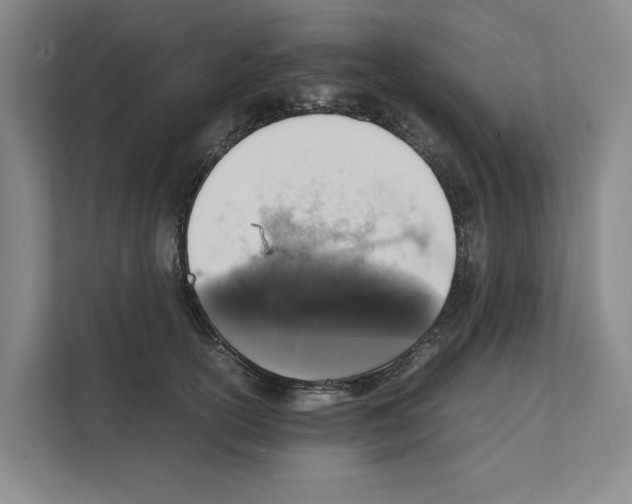 X0000111810754200909031430