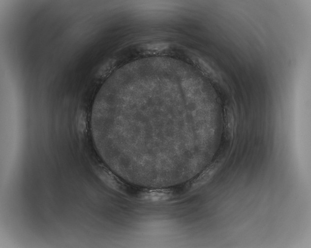 X0000111810758200909031430