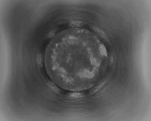 X0000111810759200909031430