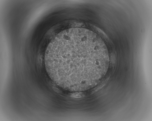 X0000111810761200909031430